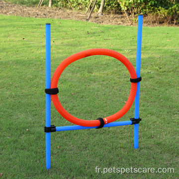 Pet Safe Bar Jump Agility Device Host Hurdle